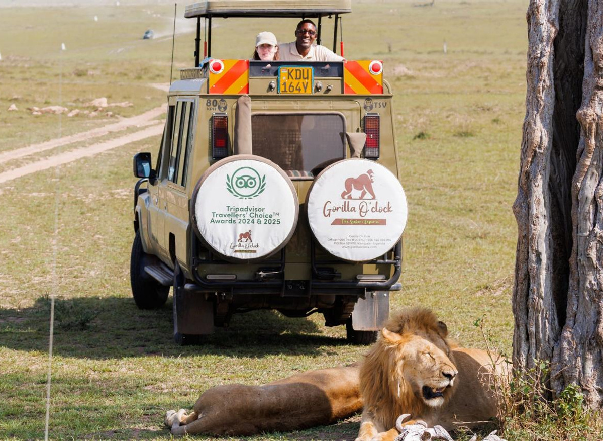 Classic African Safari Experience.jpeg