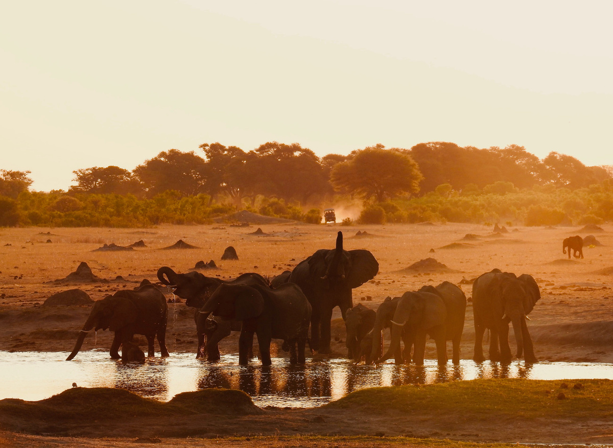 Sunset in Hwange National Park, Zimbabwe