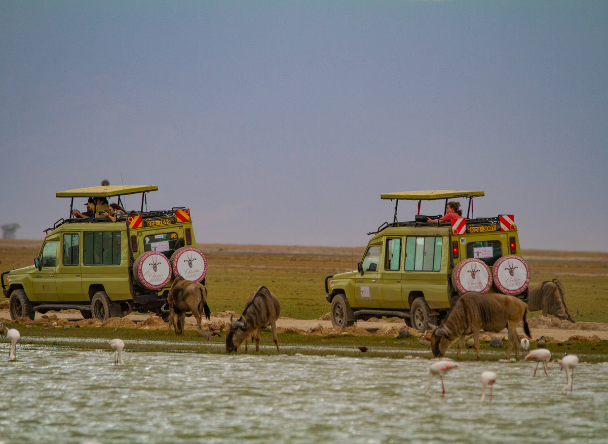 Amboseli-132 (1).jpg