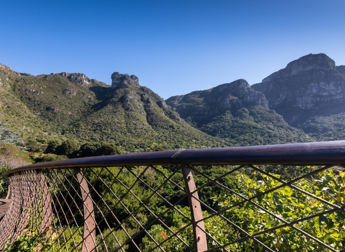 GARDENS TO GRAPES.jpg