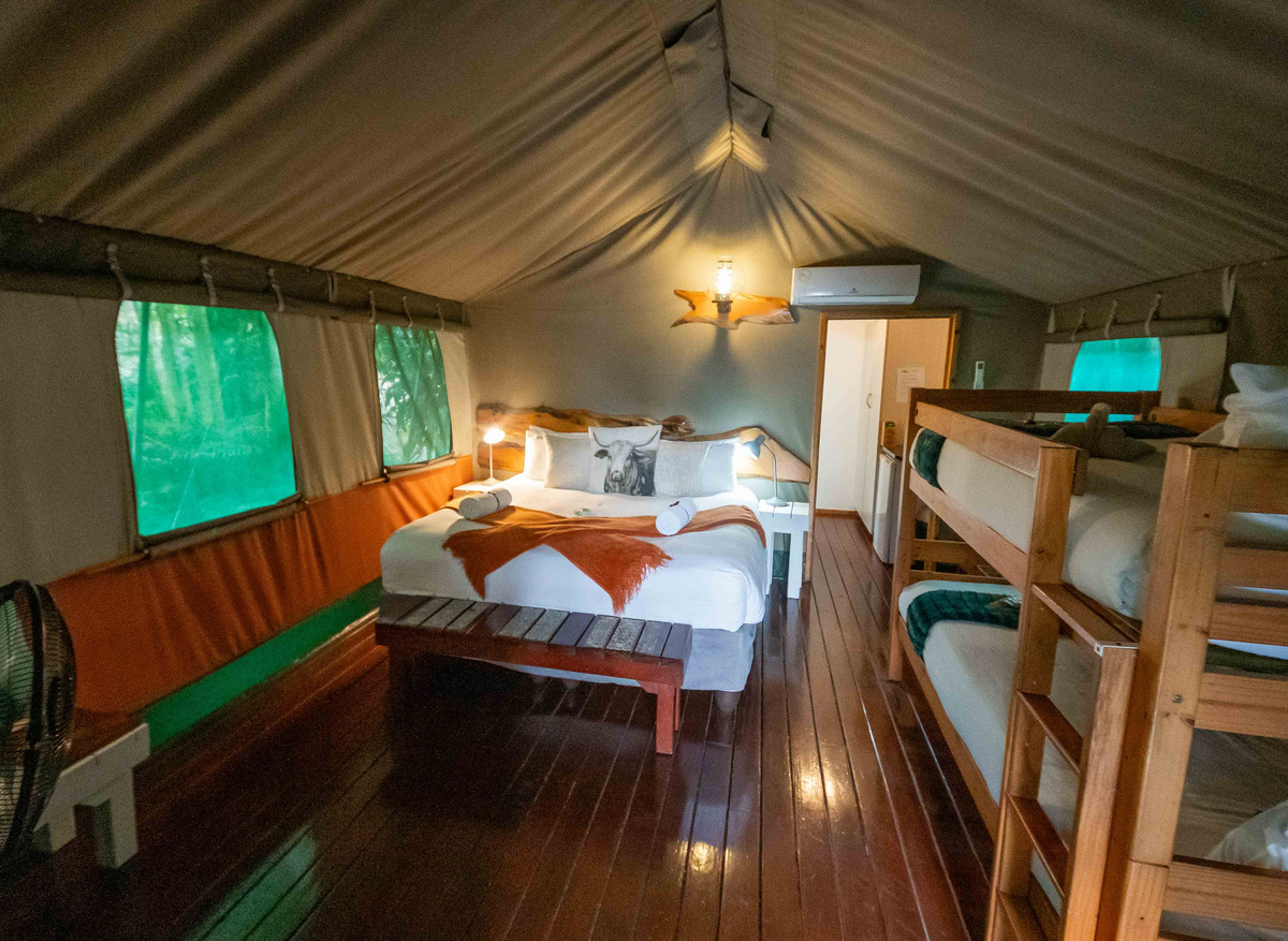 birding st lucia.jpg