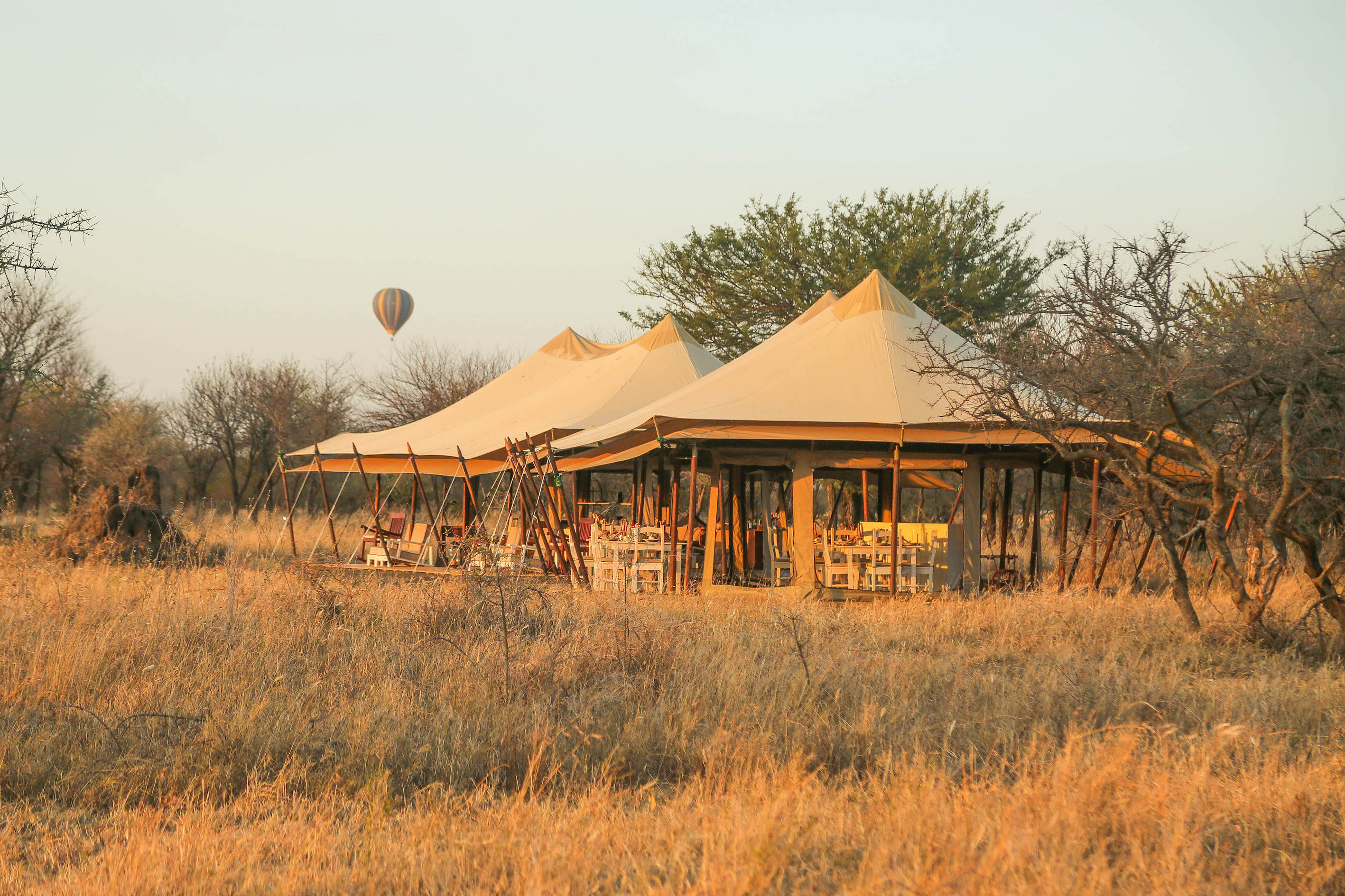 Lounge & Dining Tents 2 Low Res.jpg