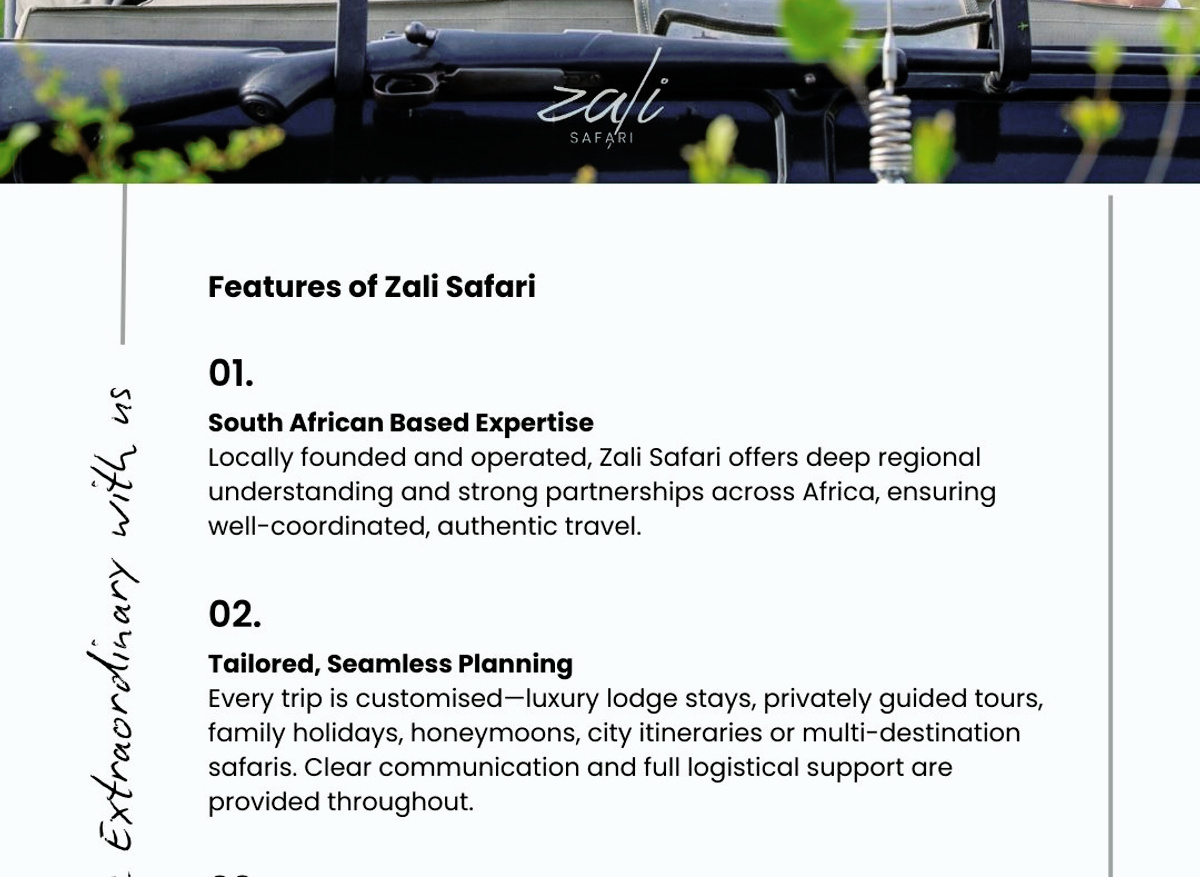 Zali Safari - What we do 2