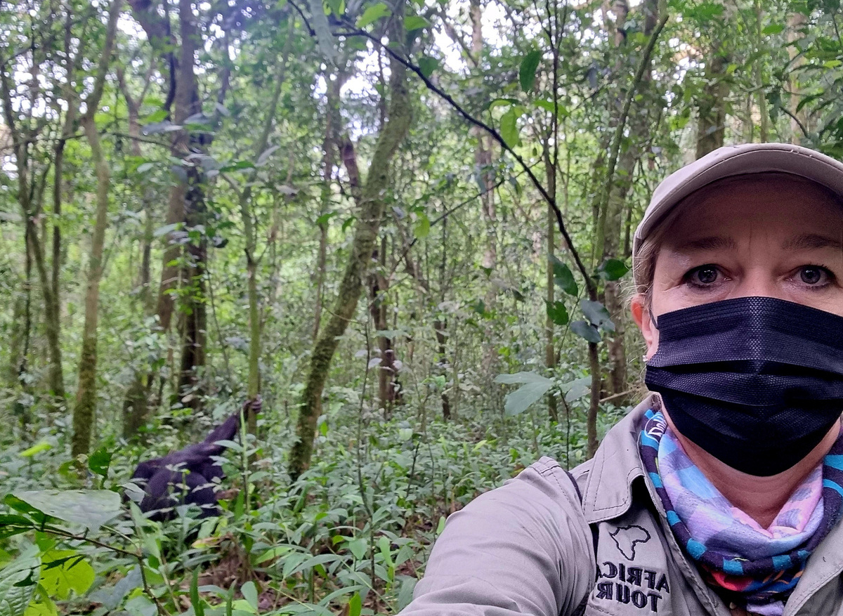 Chimp trekking Uganda.jpg