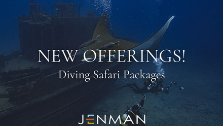 Diving+Safari+Packages.jpg
