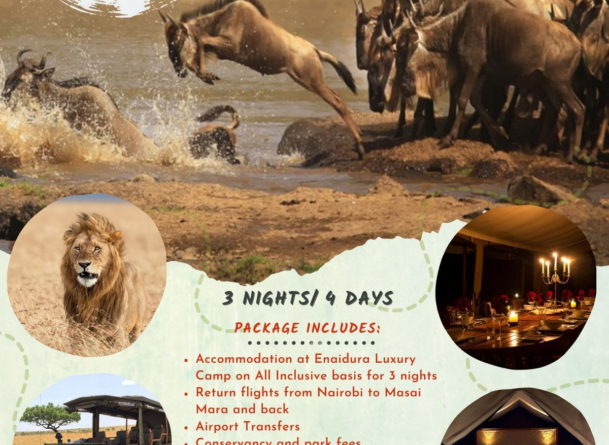 Masai Mara Migration Experience.jpg