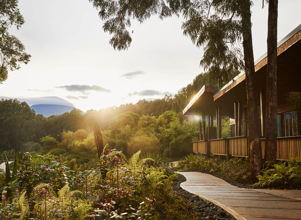 One&Only Gorilla's Nest