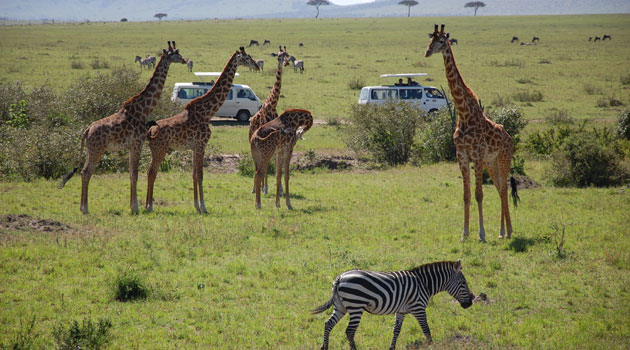 TOURISM-KENYA.jpg