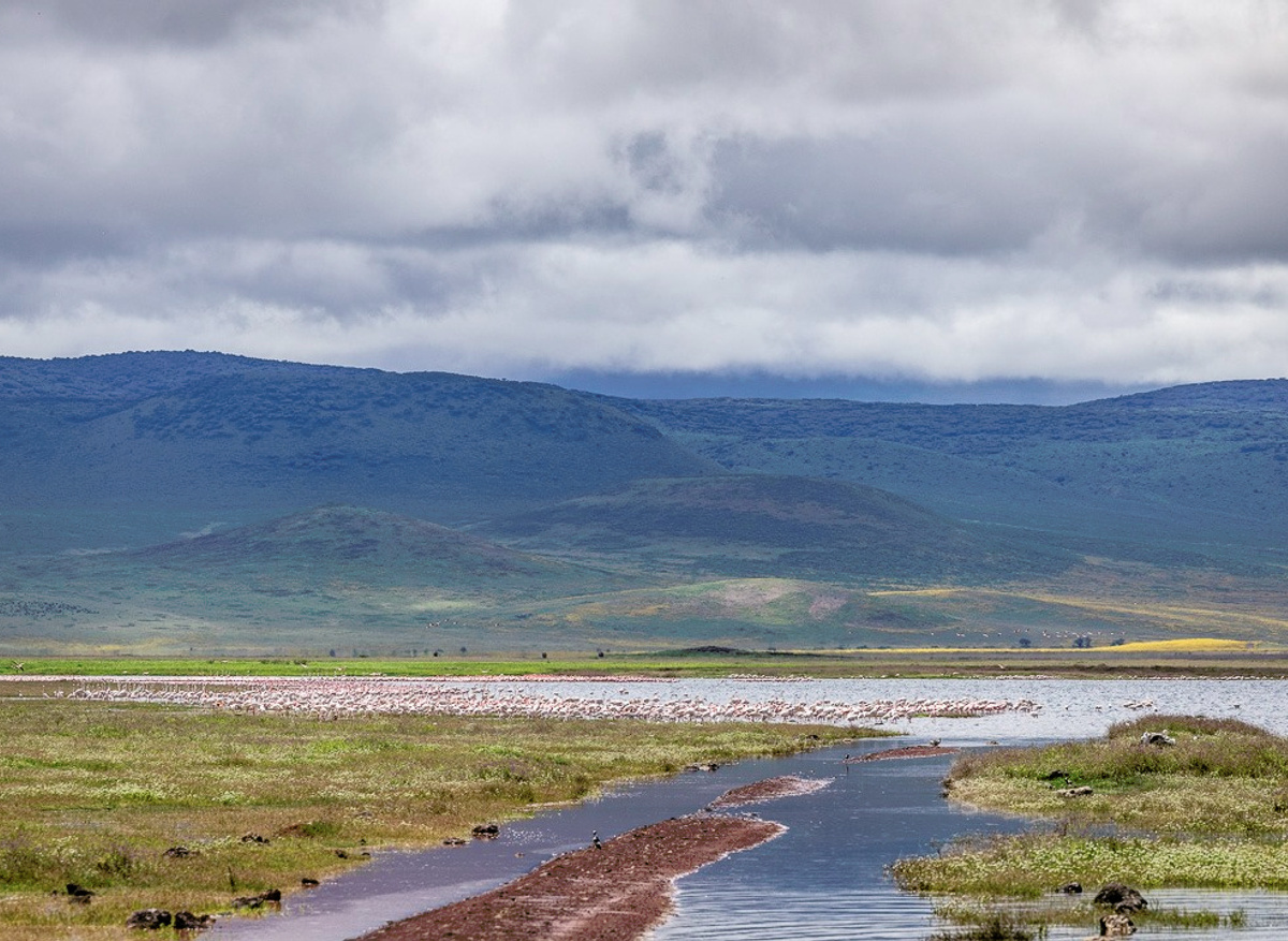 ngorongoro.jpg