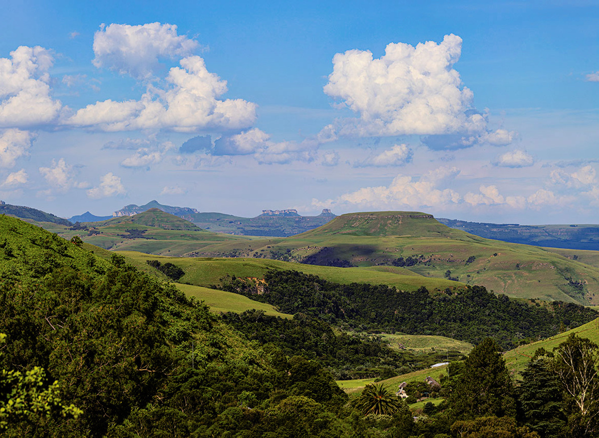 Northern Drakensberg Nature Reserve