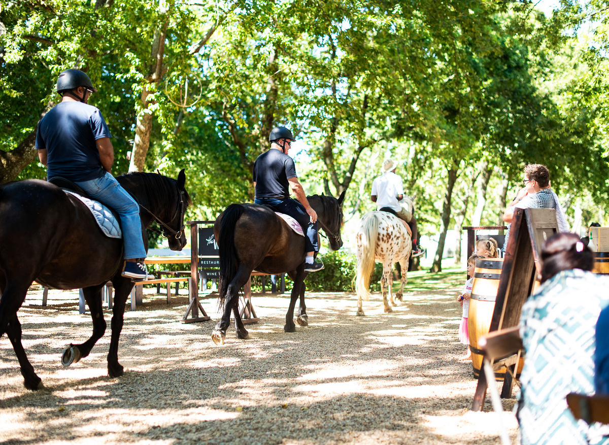 BoschendalClaireGunn_012922_7561copy.jpg