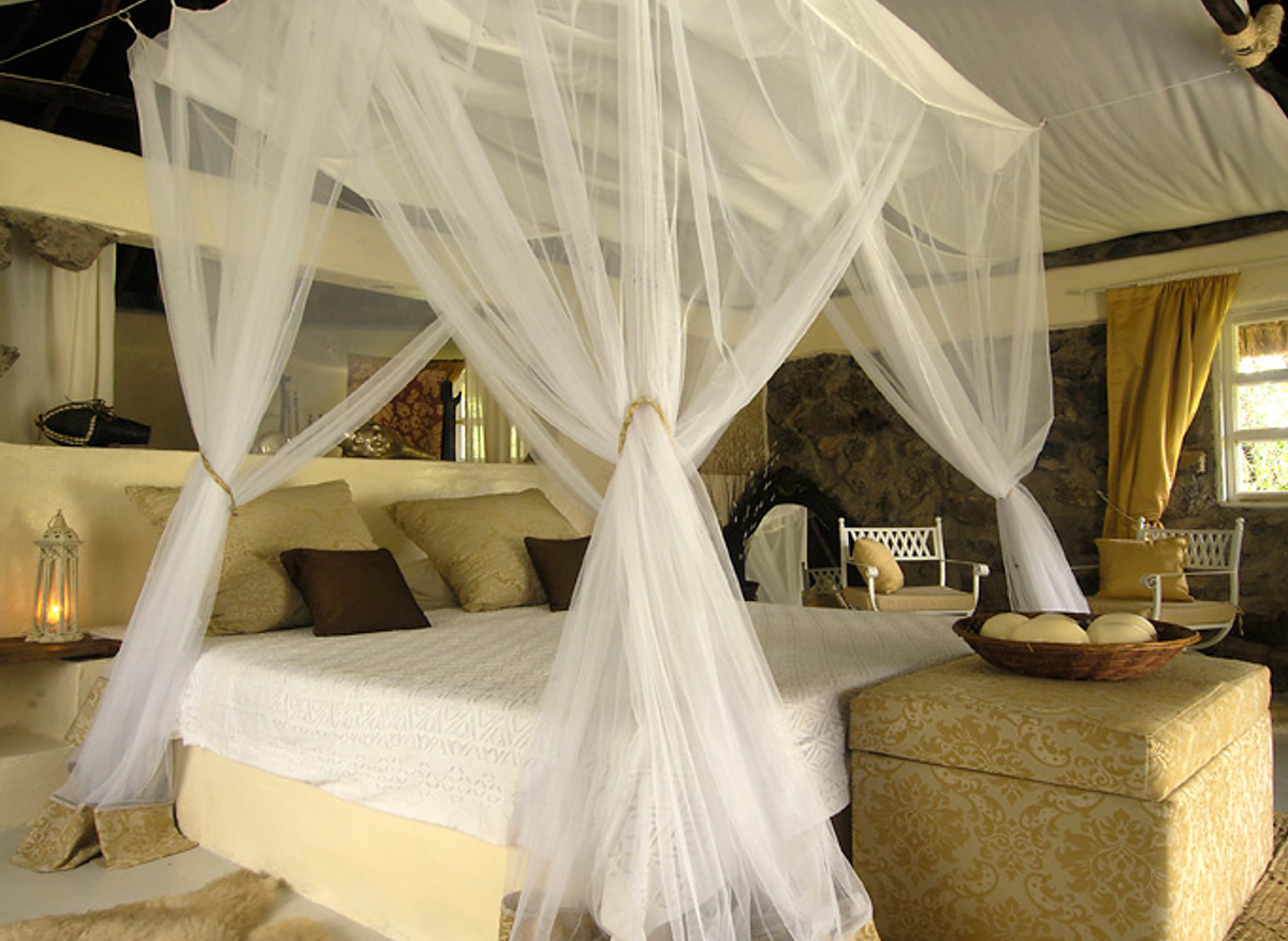 Mbweha Camp