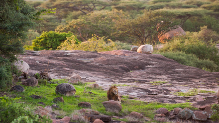 Legendary Expeditions, Arusha