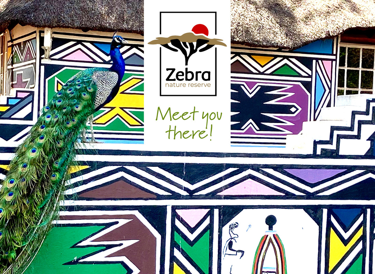 Zebra Nature Reserve - Ndebele Village
