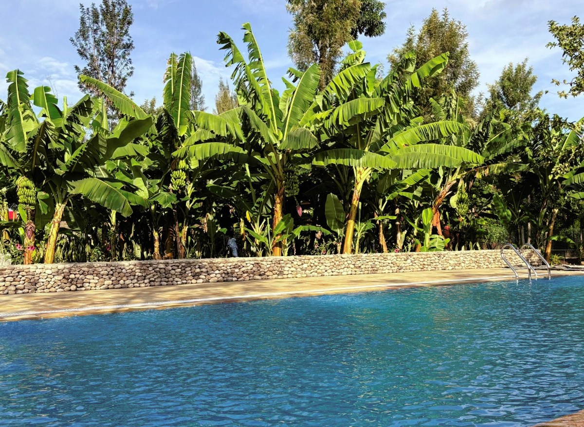 Arusha Explorers luxury swimming pool