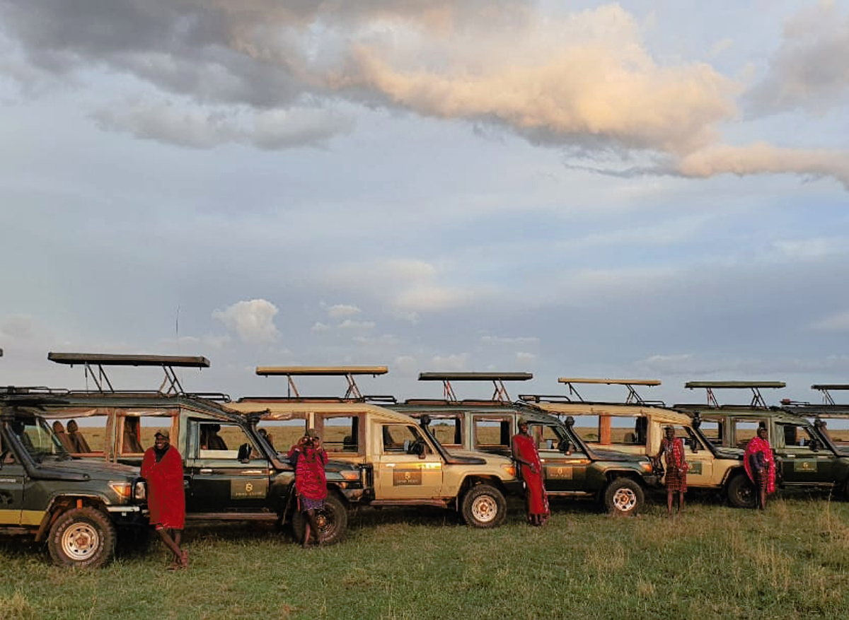 Safari Revive Professional Guides