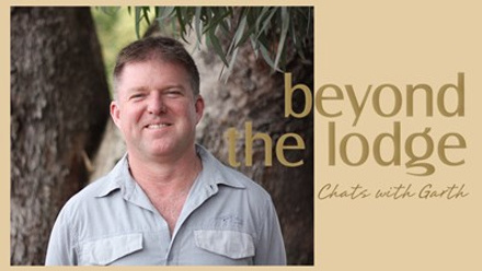 Header artwork.jpg