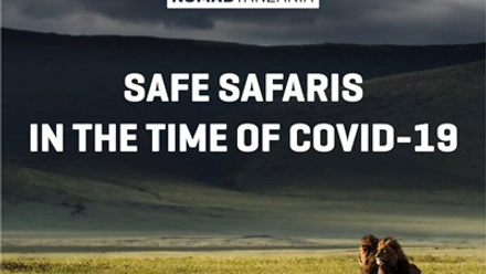 Safe Safaris.jpg