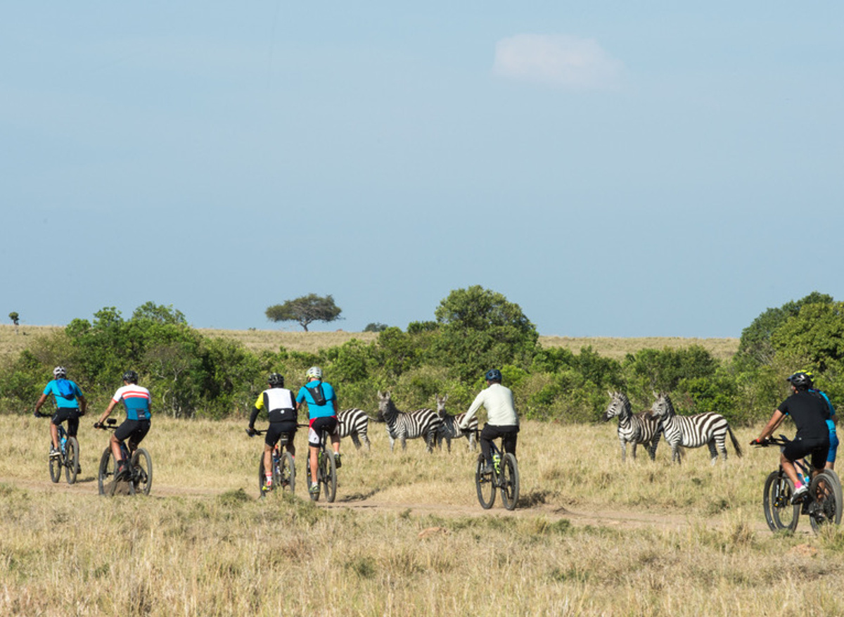 Riding Past Zebras in the Maasai Mara