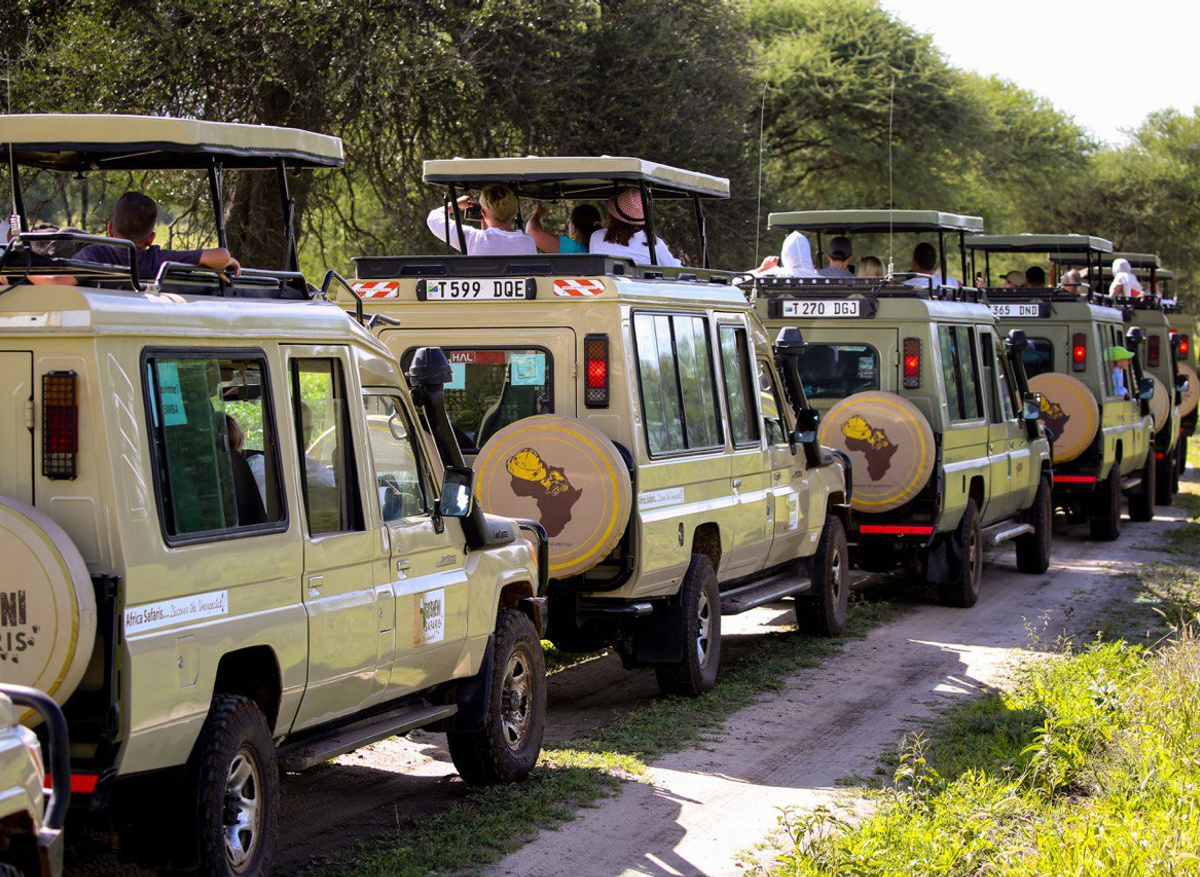 Gosheni Safari vehicles in action