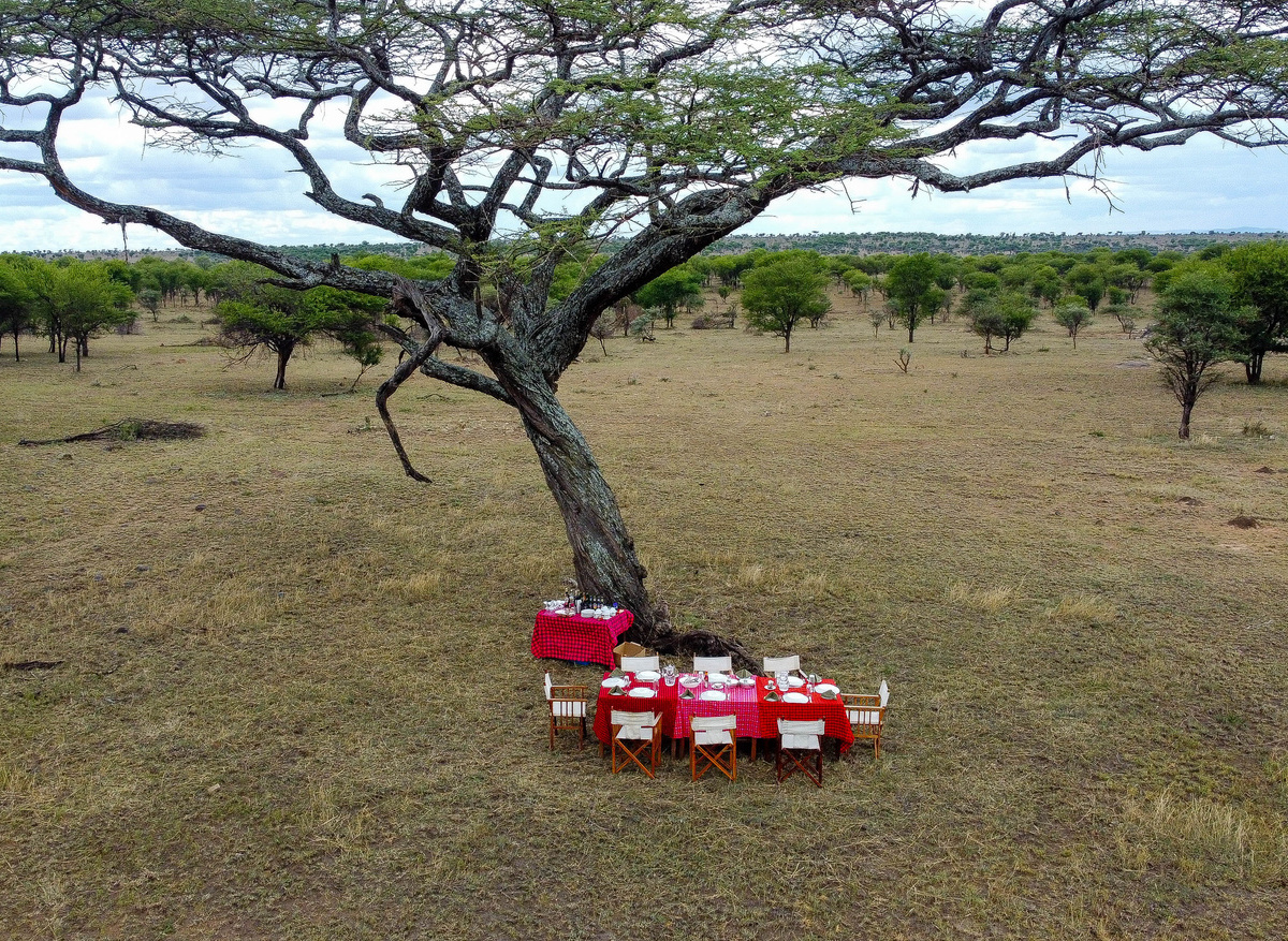 imgpsh_fullsize_anim (1).jpg