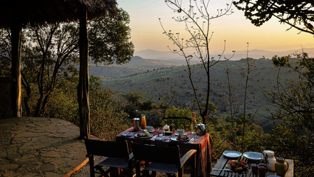 Borana Promo Image new.jpg