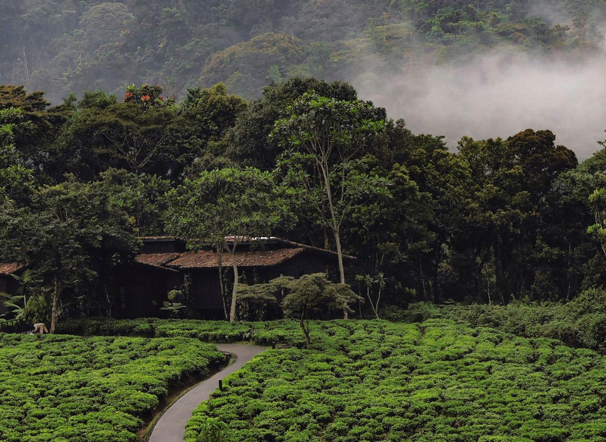 WhatsApp Image 2026-02-09 at 11.17.39 (2).jpeg