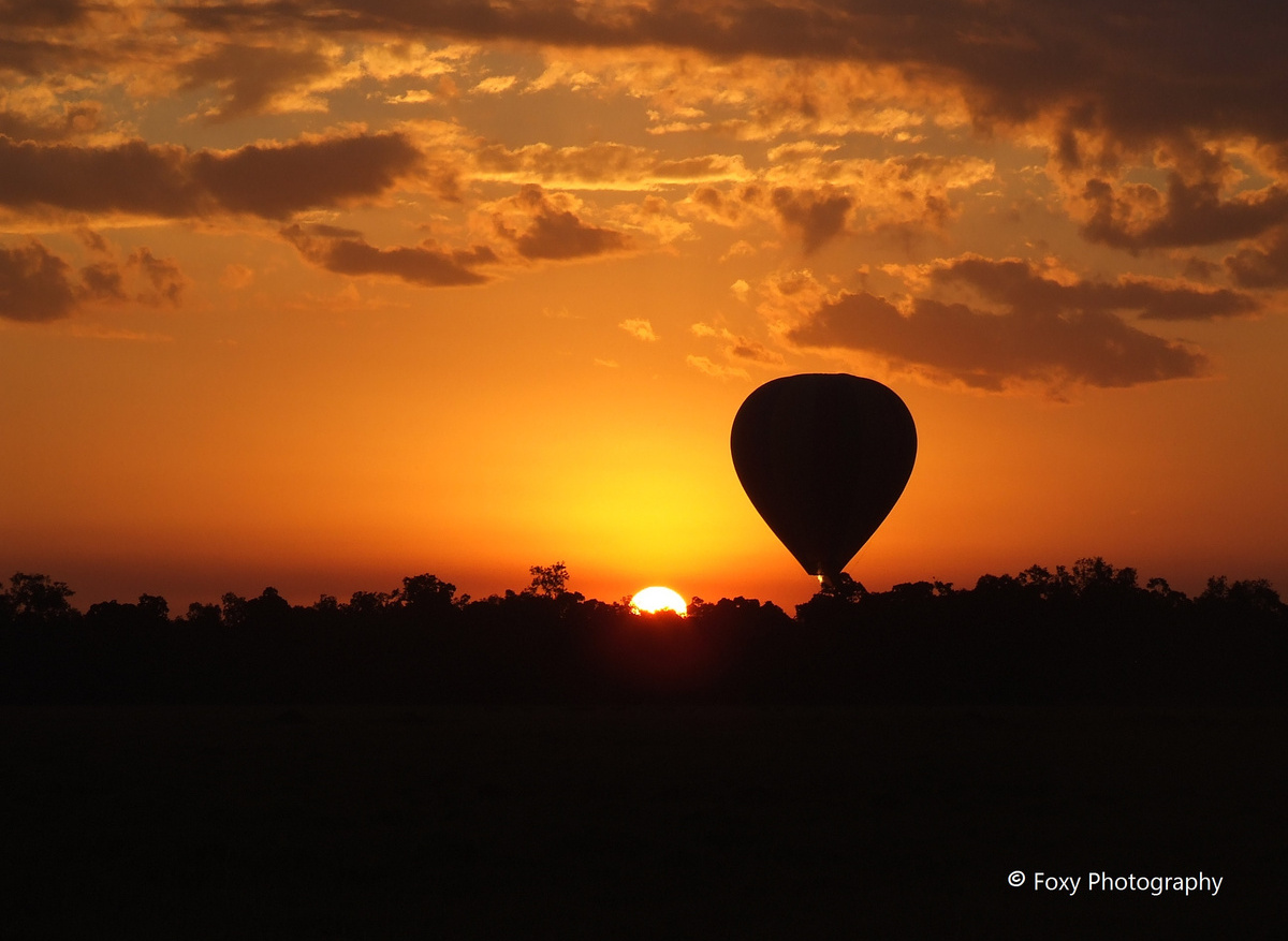 Jan 2009 Various 016.jpg