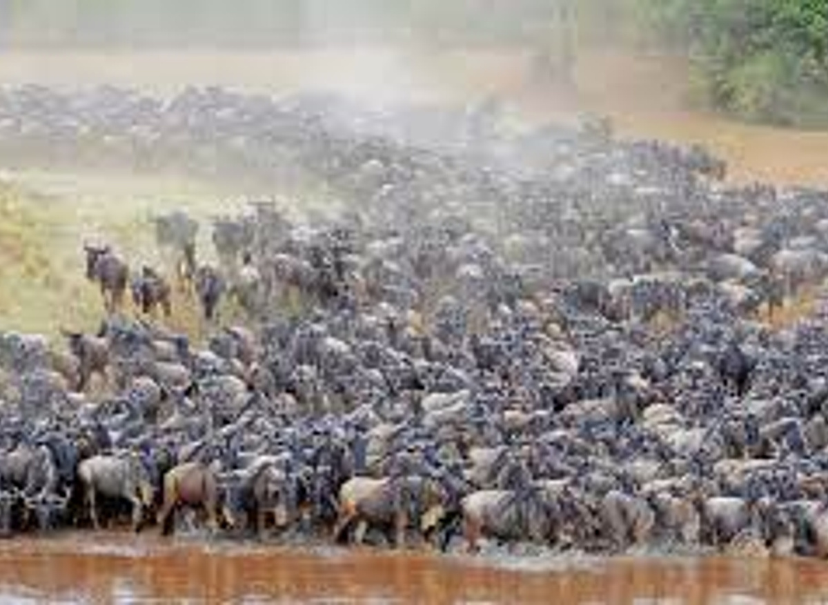 download - Copy.jpeg