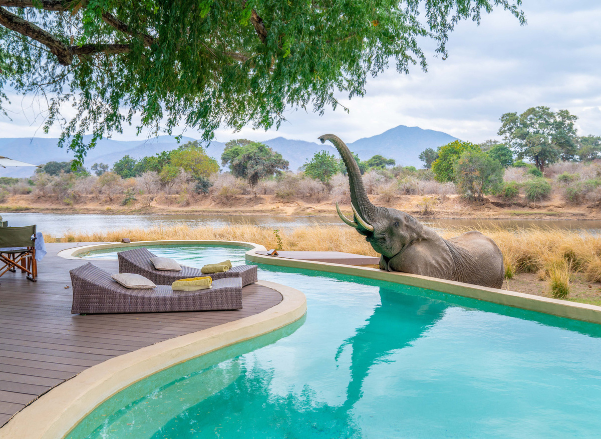 Time + Tide Chongwe House Elephant