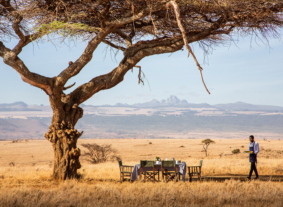 Surprise bush breakfast.jpg