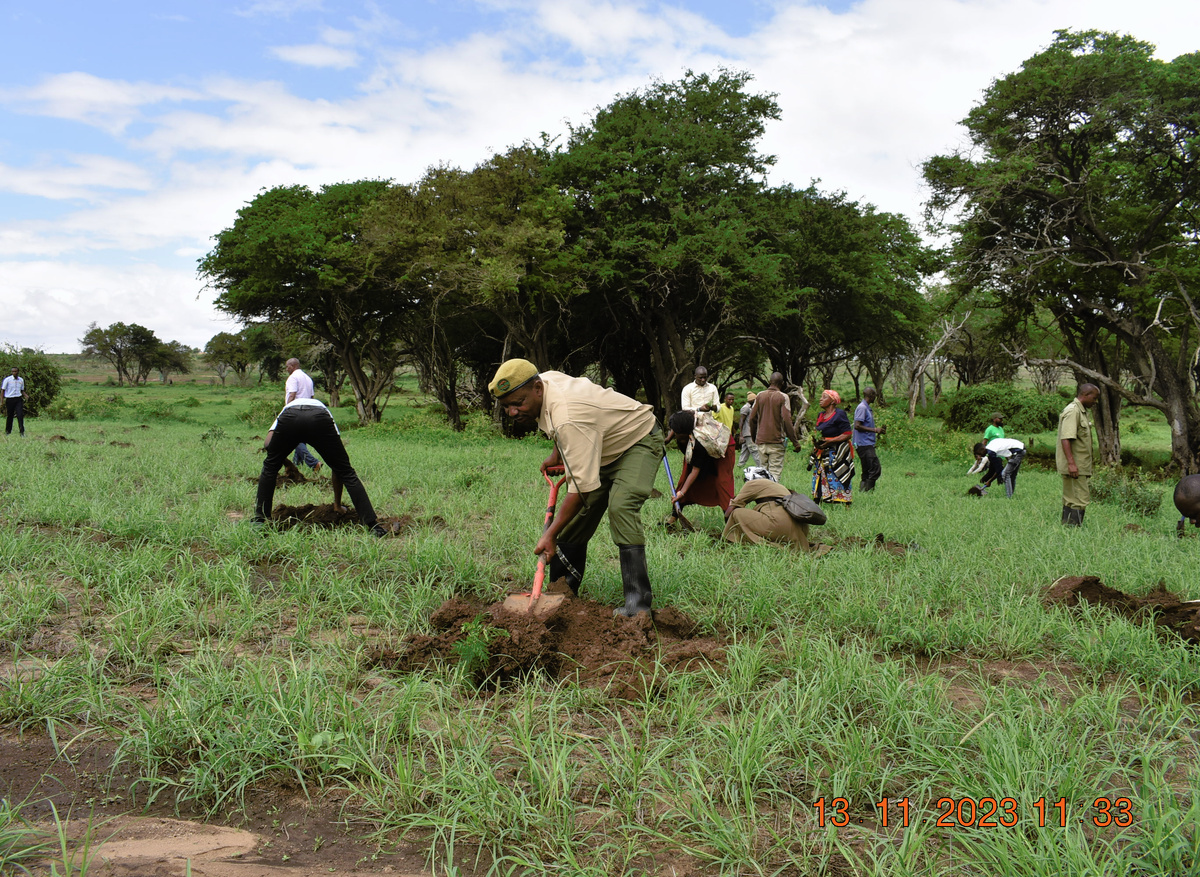 Tree planting.1.JPG