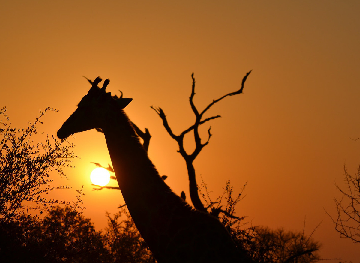 Take a journey with us