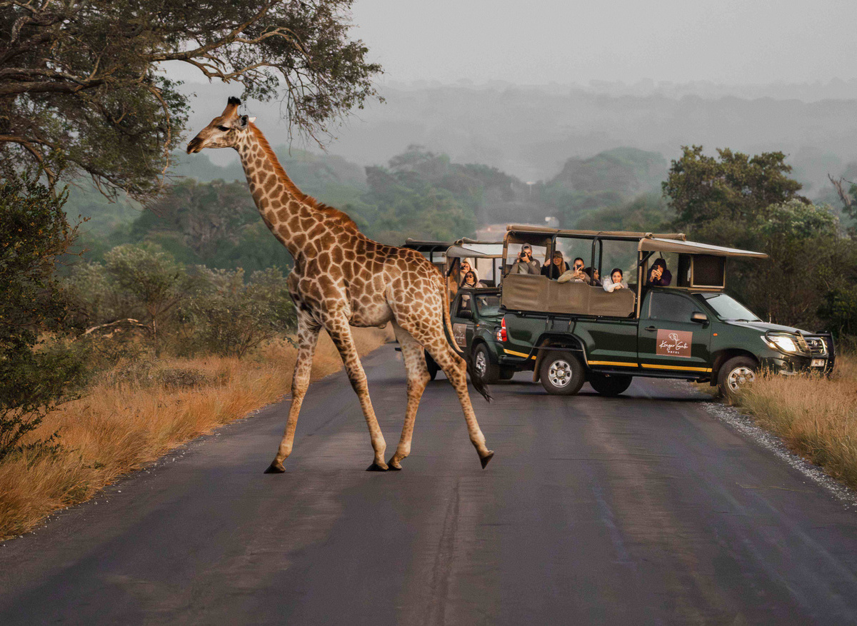 Kruger Gate Hotel Safari Experience