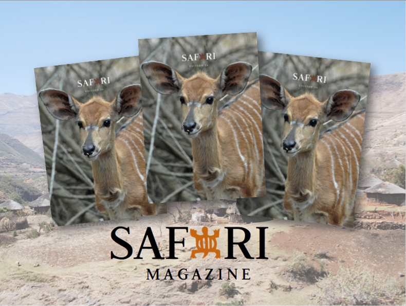7460-safari-magazine-36.png