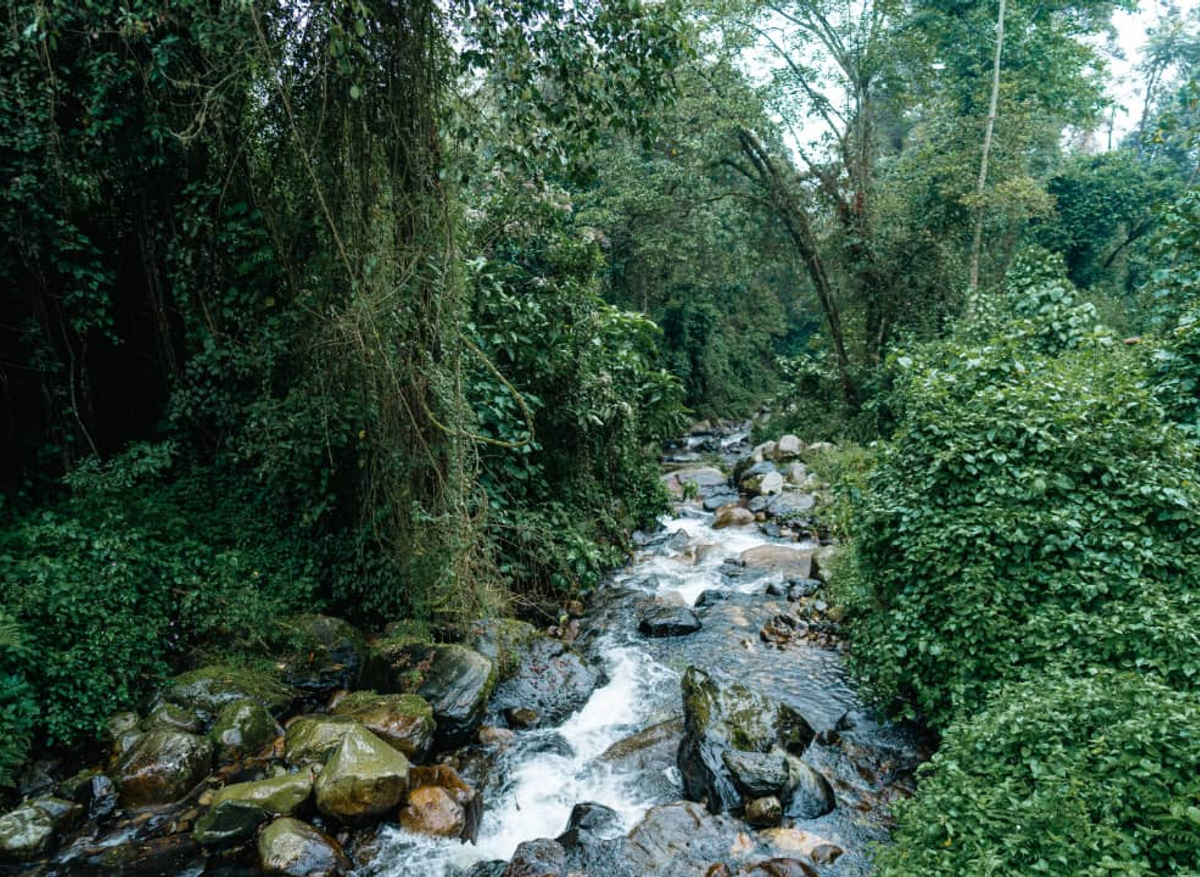 Rivers and Waterfalls 