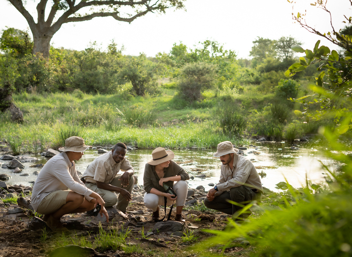 Bush Walk - Kruger National Park