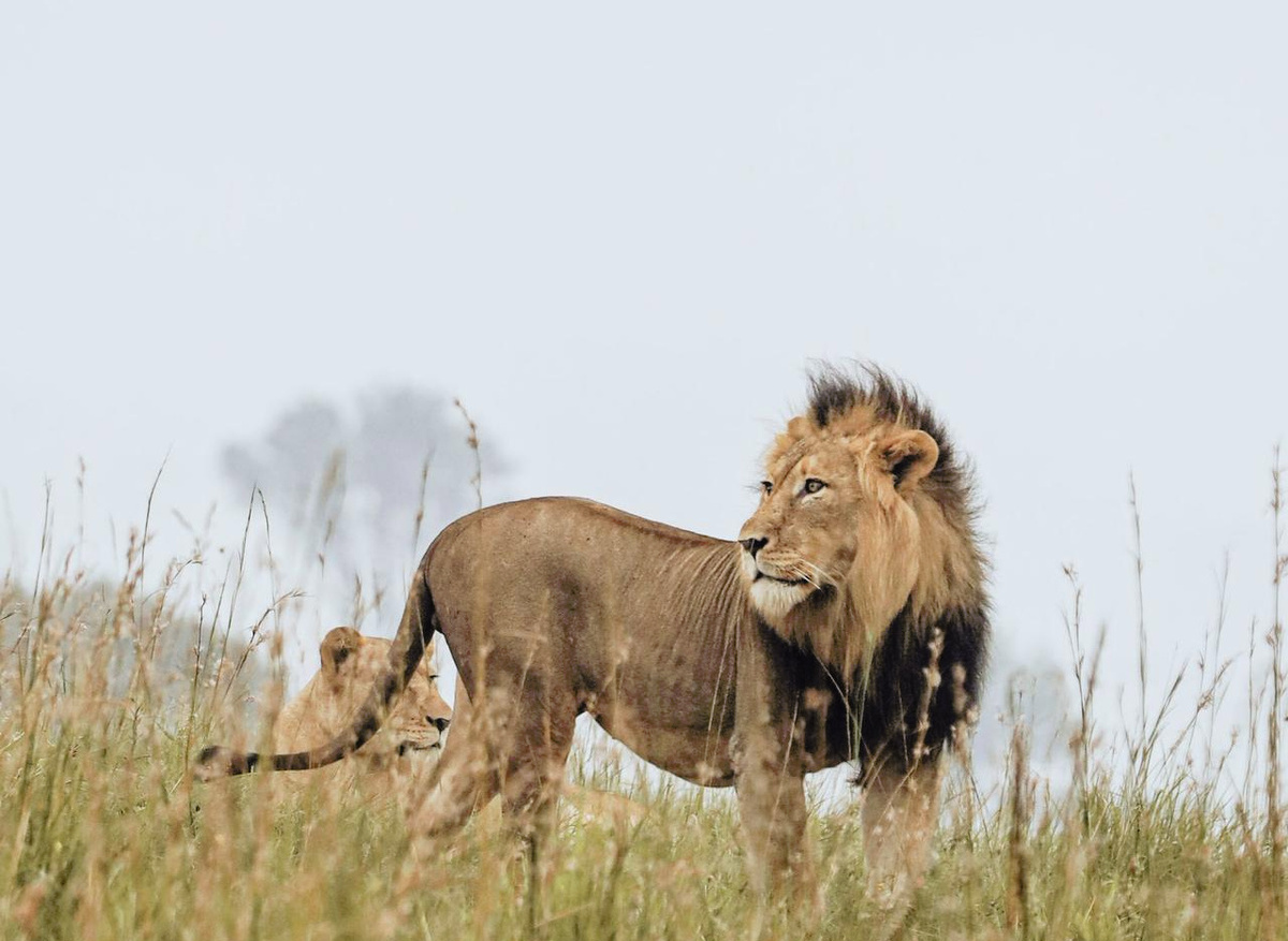 WhatsApp Image 2026-02-09 at 11.17.42.jpeg