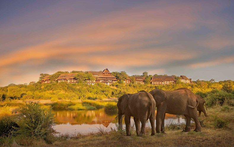 7610-elephants-in-front-of-victoria-falls-safari-lodge.jpg