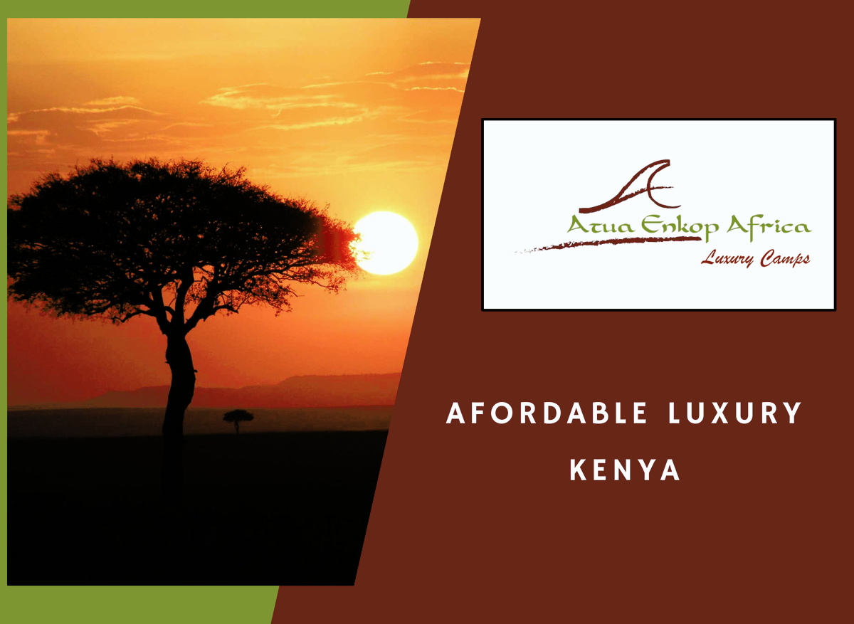 AE Photo and Logo.png