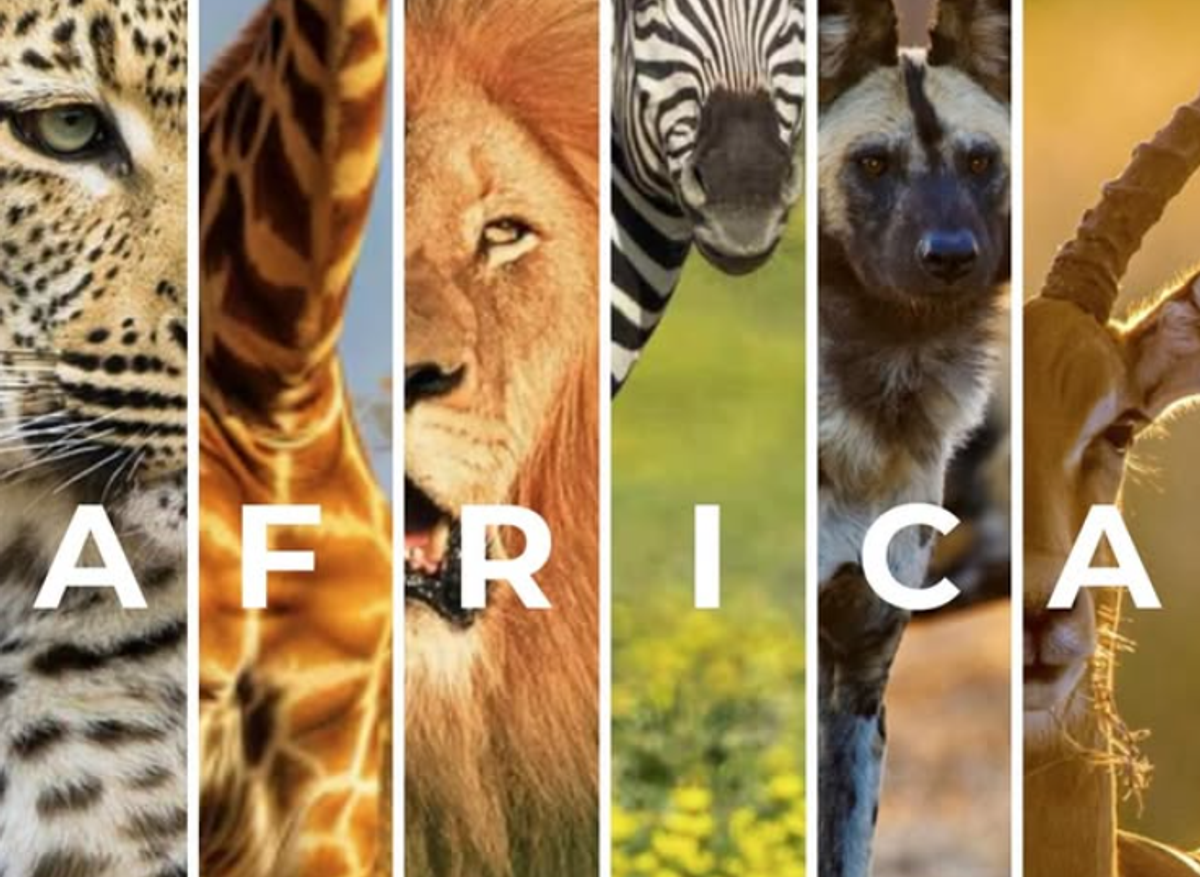 Africa Day.png