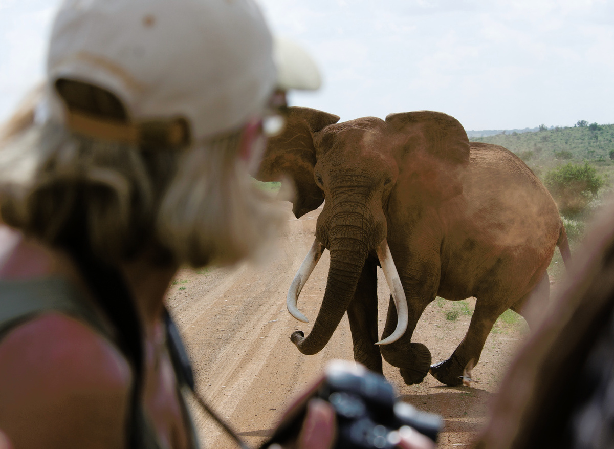 95D74B0A-8F99-4132-949C8CF3CCC286C7_24