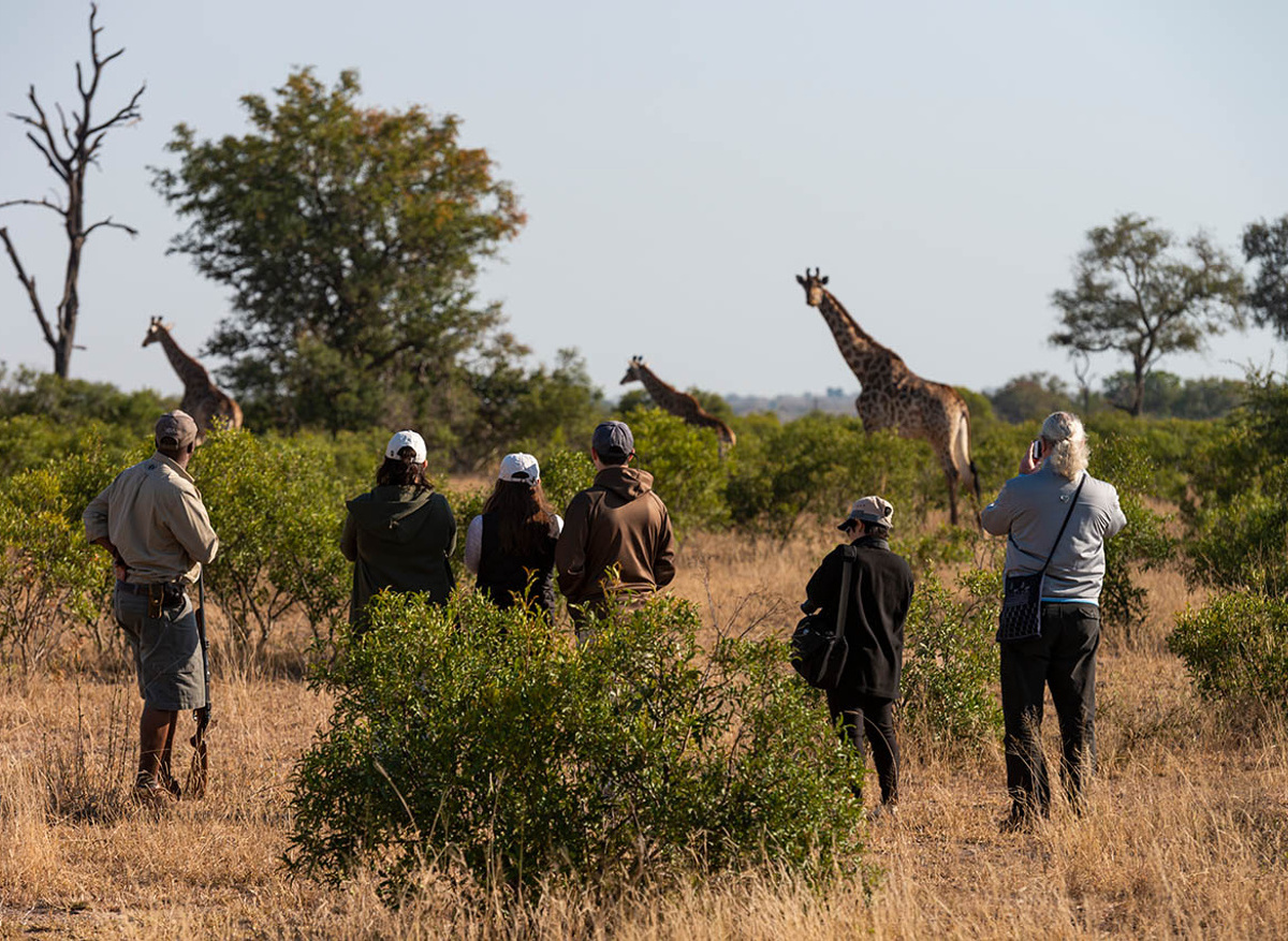 Inyati-walking safaris