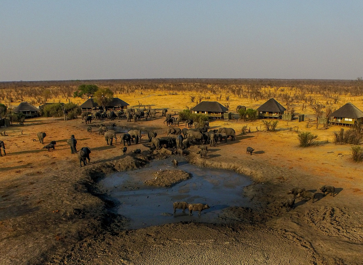 Aerial view of Nehimba Lodge and waterholes with herds of elephants - dry season