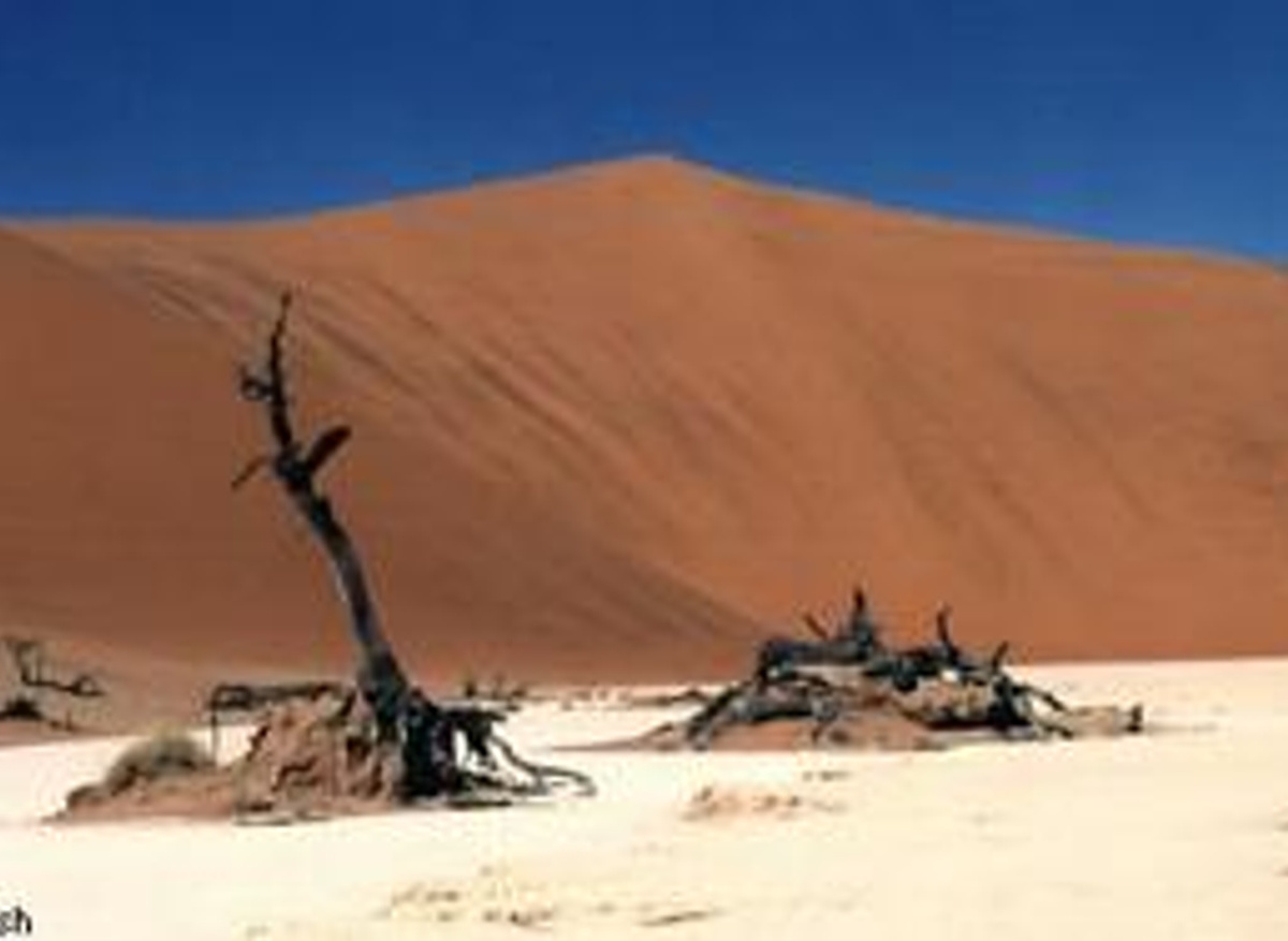 Big Daddy Thumb, Tallest Sand Dune in Sossusvlei