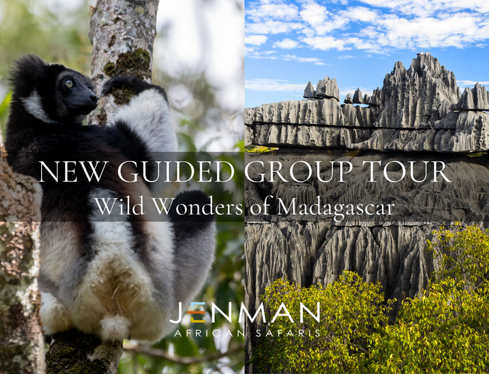 Jenman+African+Safaris+New+Wild+Wonders+of+Madagascar+Guided+Group+Tour.png