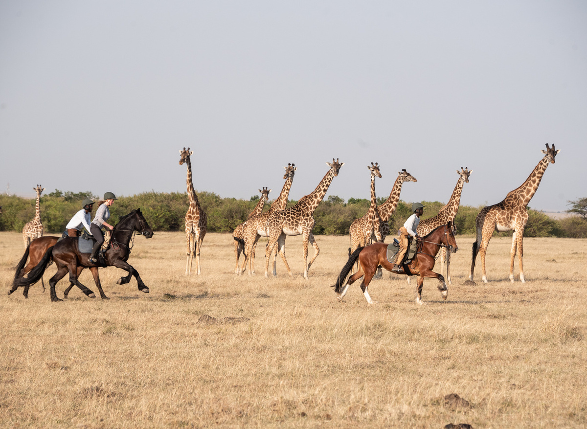Ride Mara -Olerai Conservancy 