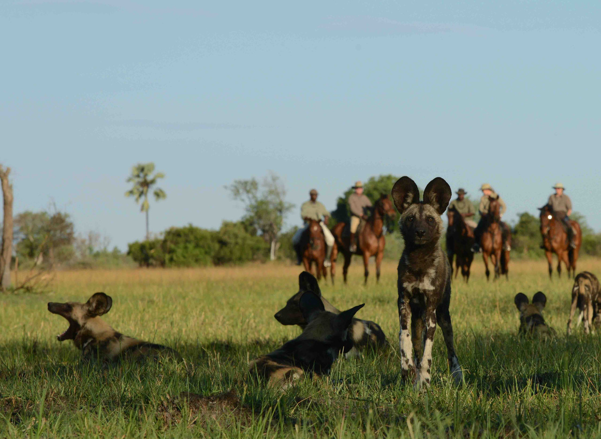 AHBS Riding 52 low.jpg