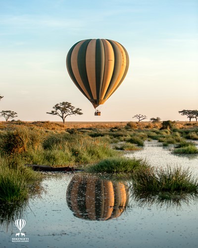 Serengeti Balloon Safaris Green Travel Marketing.jpeg