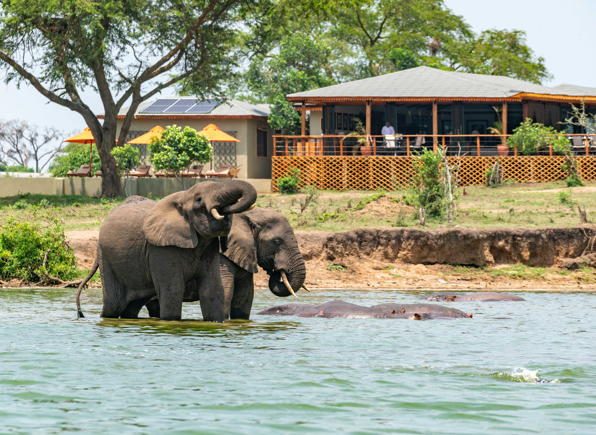 The River Station and Elephant.jpg